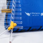 Ethereal Wings crystal harp H9
