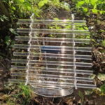 om1-1-e1696258191489-600×528