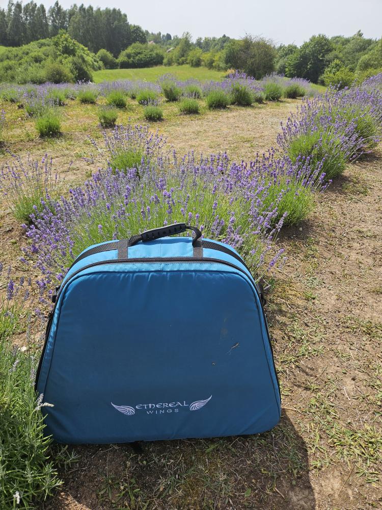 Crystal harp Turtle for Handpan ~ F# Pygmy – Image 5